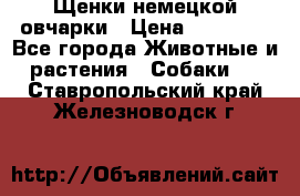 Щенки немецкой овчарки › Цена ­ 30 000 - Все города Животные и растения » Собаки   . Ставропольский край,Железноводск г.